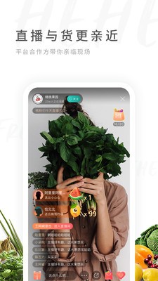 安卓禾禾网app