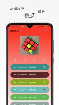 彩羽下载