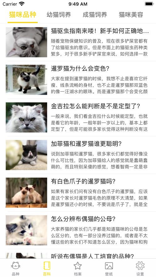 猫猫生活圈app下载