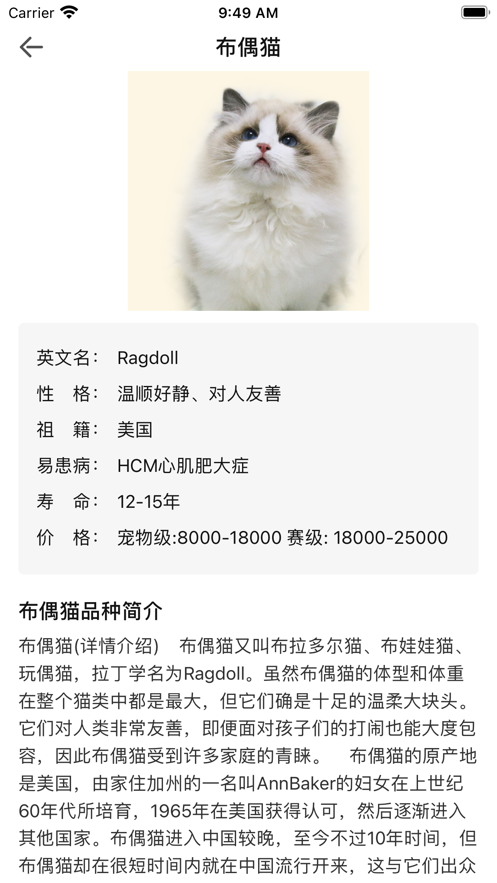 安卓猫猫生活圈软件下载