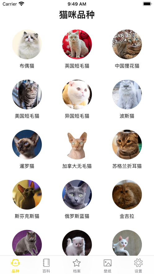 猫猫生活圈