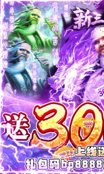 新三国魂上线满级gm版