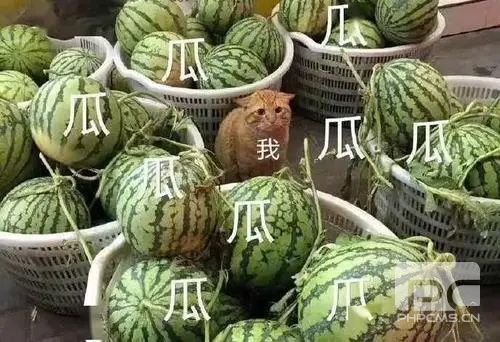 黑龙江温酒斩华雄事件怎么回事?温酒斩华雄视频黑龙江经过
