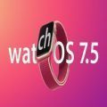 watchos 7.6 beta3公测版