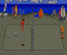 安卓宠物沙滩排球修改版app