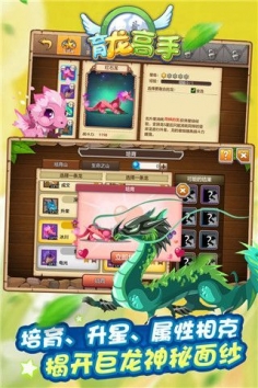 育龙高手修改版app下载