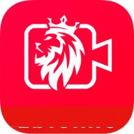 王者体育app