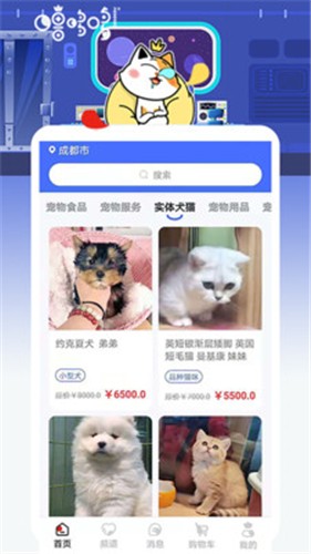 安卓噜哆哆宠物最新版软件下载