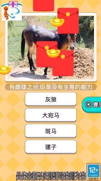 橄榄球冲突游戏安卓版