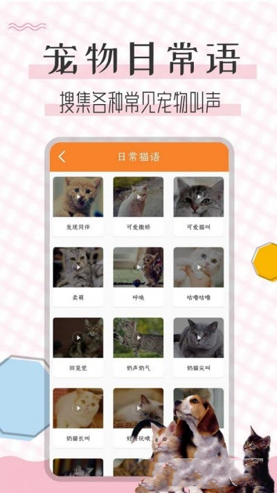 猫语翻译宝app