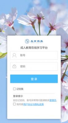 小游观世界app