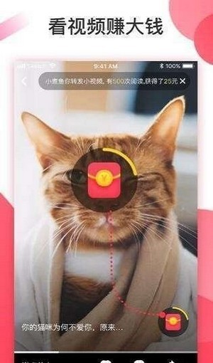 安卓叮当视频红包版app