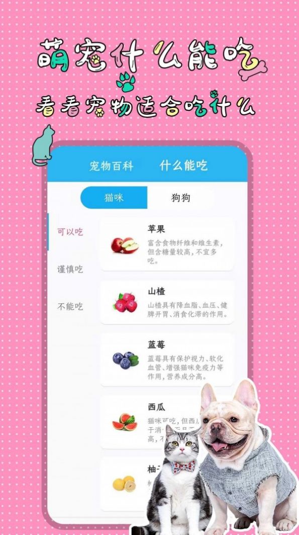 安卓人猫人狗翻译交流器app软件下载