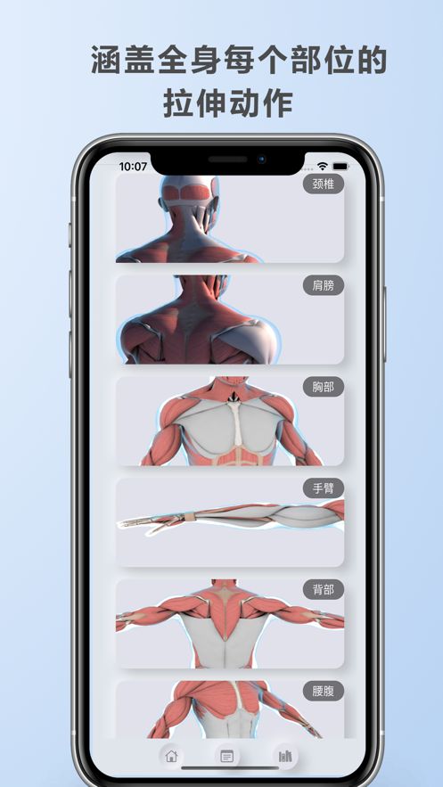 拉伸解剖app下载