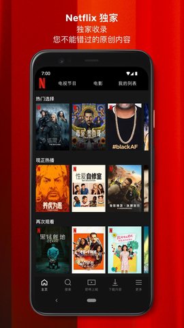 安卓netflix 官网版appapp