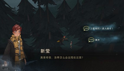 哈利波特魔法觉醒洛蒂彩蛋在哪里