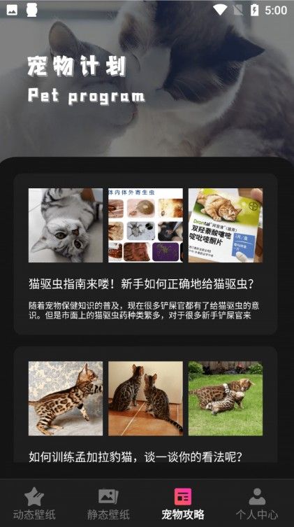 猫咪壁纸app