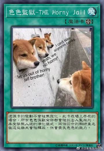 不可以色柴犬表情包