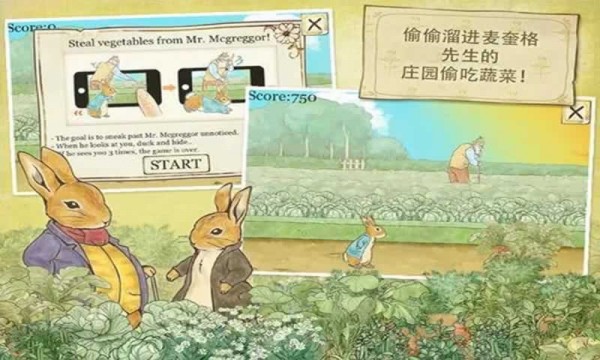 安卓小镇大厨红包版app