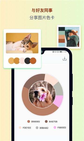 色采app下载