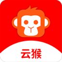 云猴
