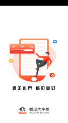 看见大字版app