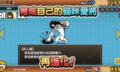 猫咪大战争q周年版本app下载
