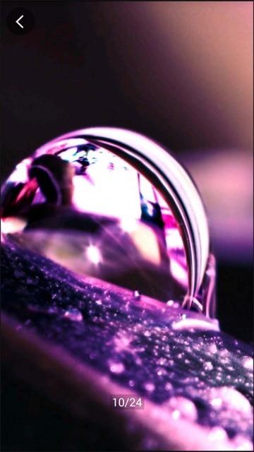 安卓果果壁纸app