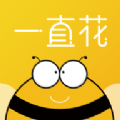 一直花