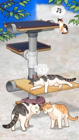 渔场猫咪app下载