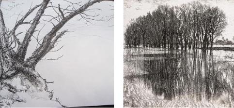 素描画画板app下载