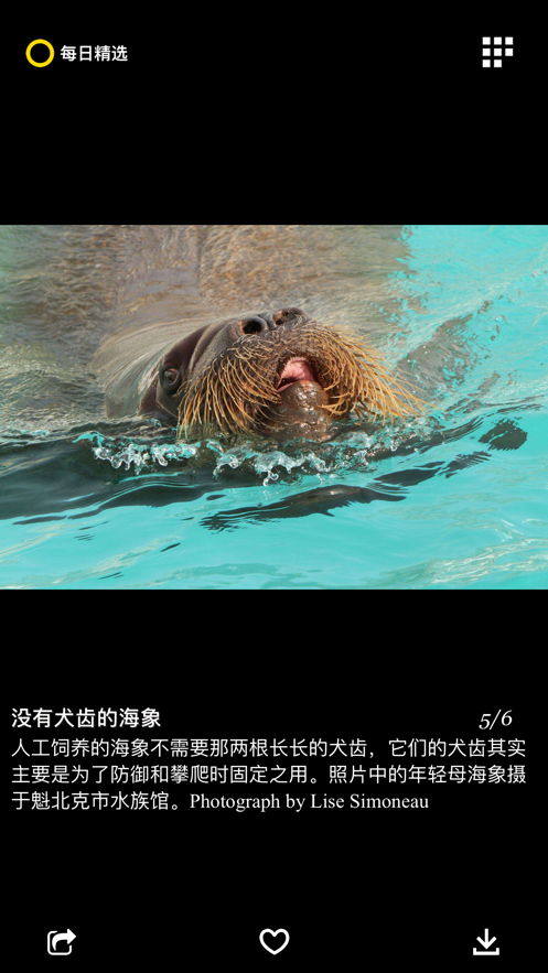 每日精选app下载