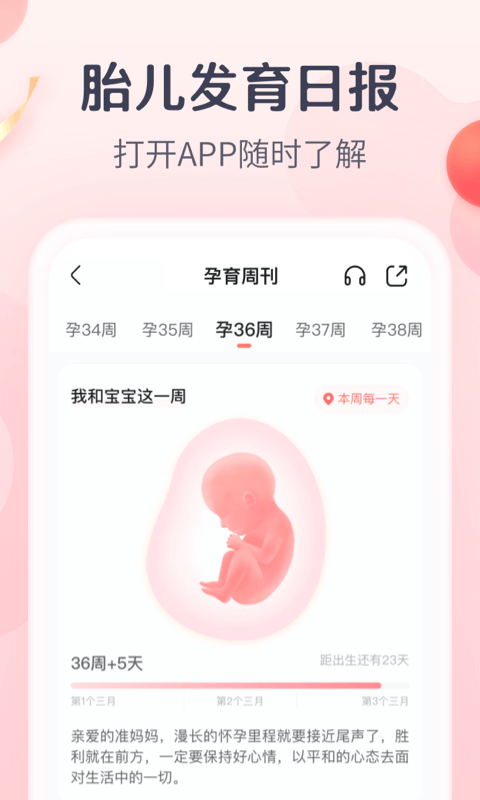 安卓宝宝树孕育appapp