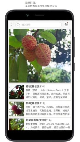 安卓行色识花软件下载