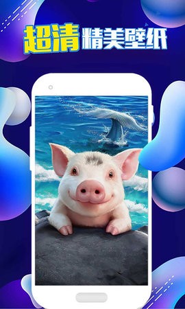 安卓企鹅主题壁纸app