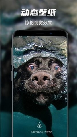 遥望星球壁纸下载