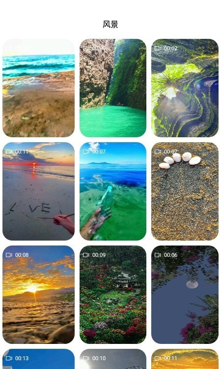 安卓飞花动态壁纸安卓版软件下载