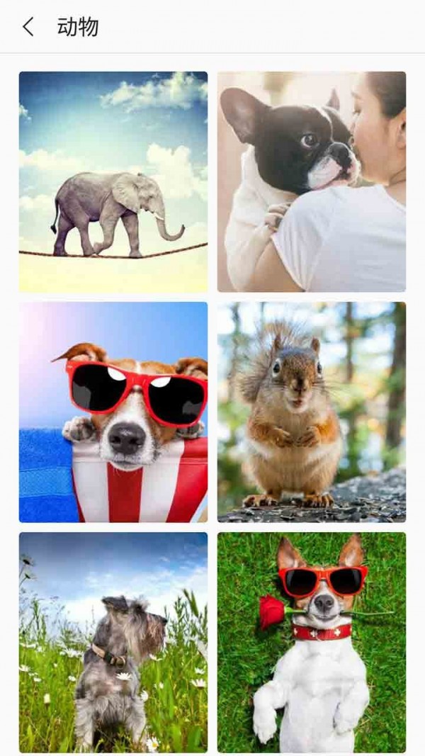 安卓芒果壁纸小清新图片大全app v3.3.2app