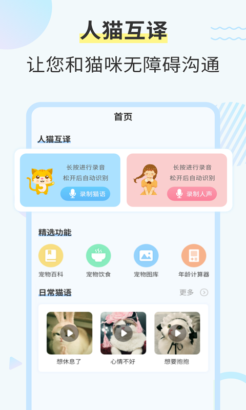安卓猫咪翻译器app