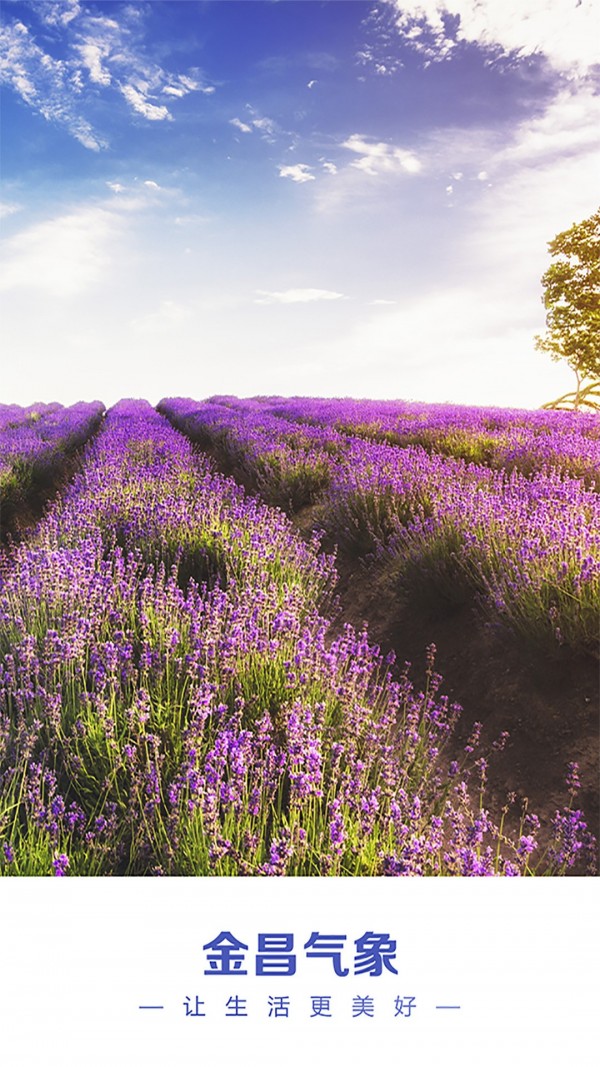 金昌天气预报免费版