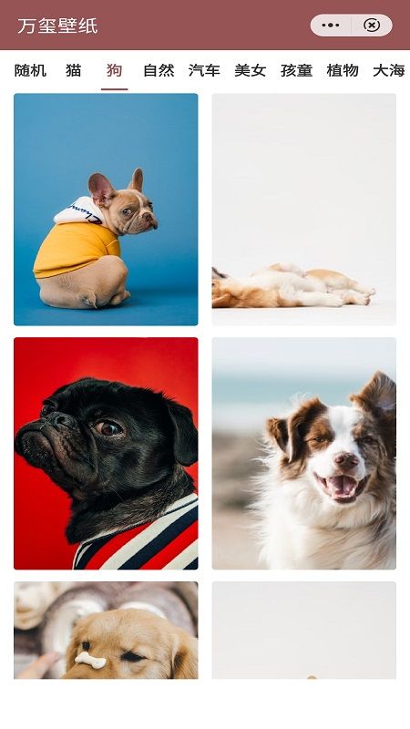 安卓万玺壁纸软件下载