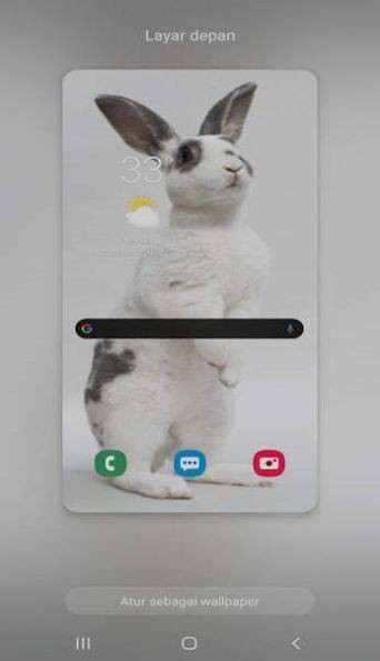 新兔子壁纸app下载