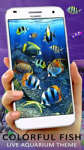 鱼水池动态壁纸app下载