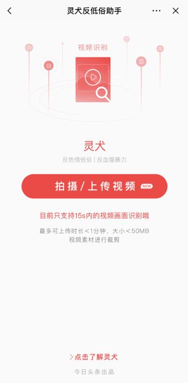 安卓今日头条灵犬app官方版 v8.6.0app