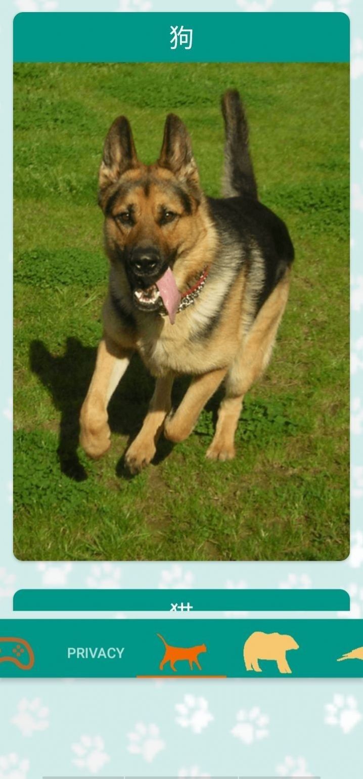 爱尼莫动物声音appapp下载