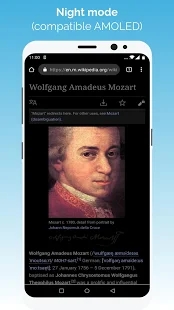 安卓kiwi浏览器 官方网站app