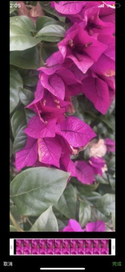 安卓金色剪辑app