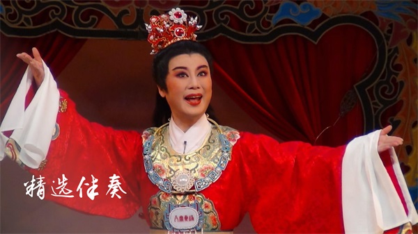 安卓越剧迷 1.6.4app