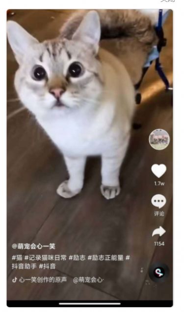 安卓全民刷刷软件下载