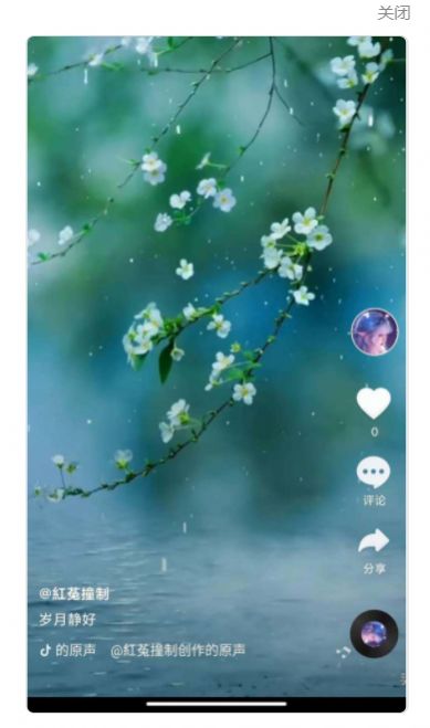 全民刷刷app下载